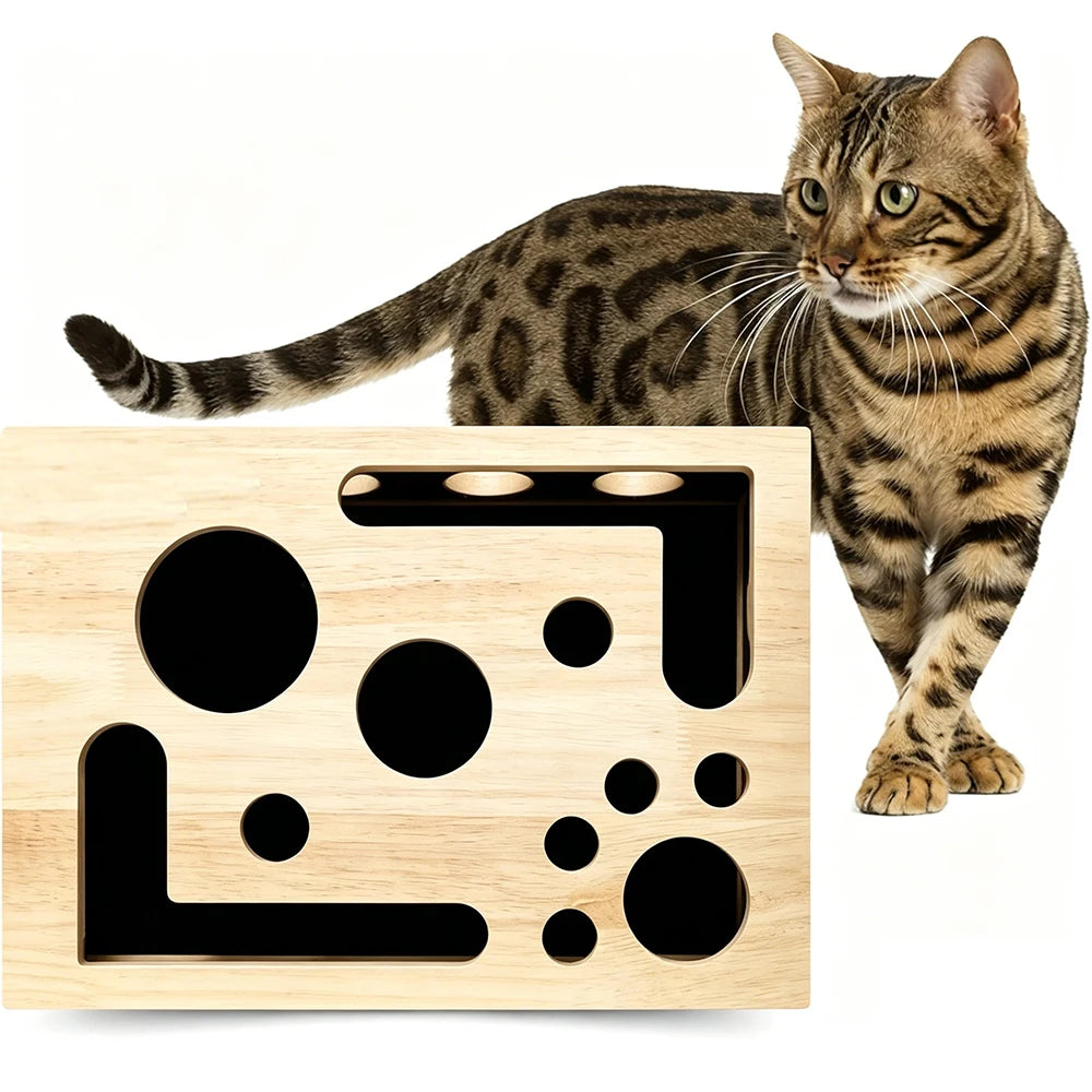 Limatou – La boîte qui lime les griffes de votre chat