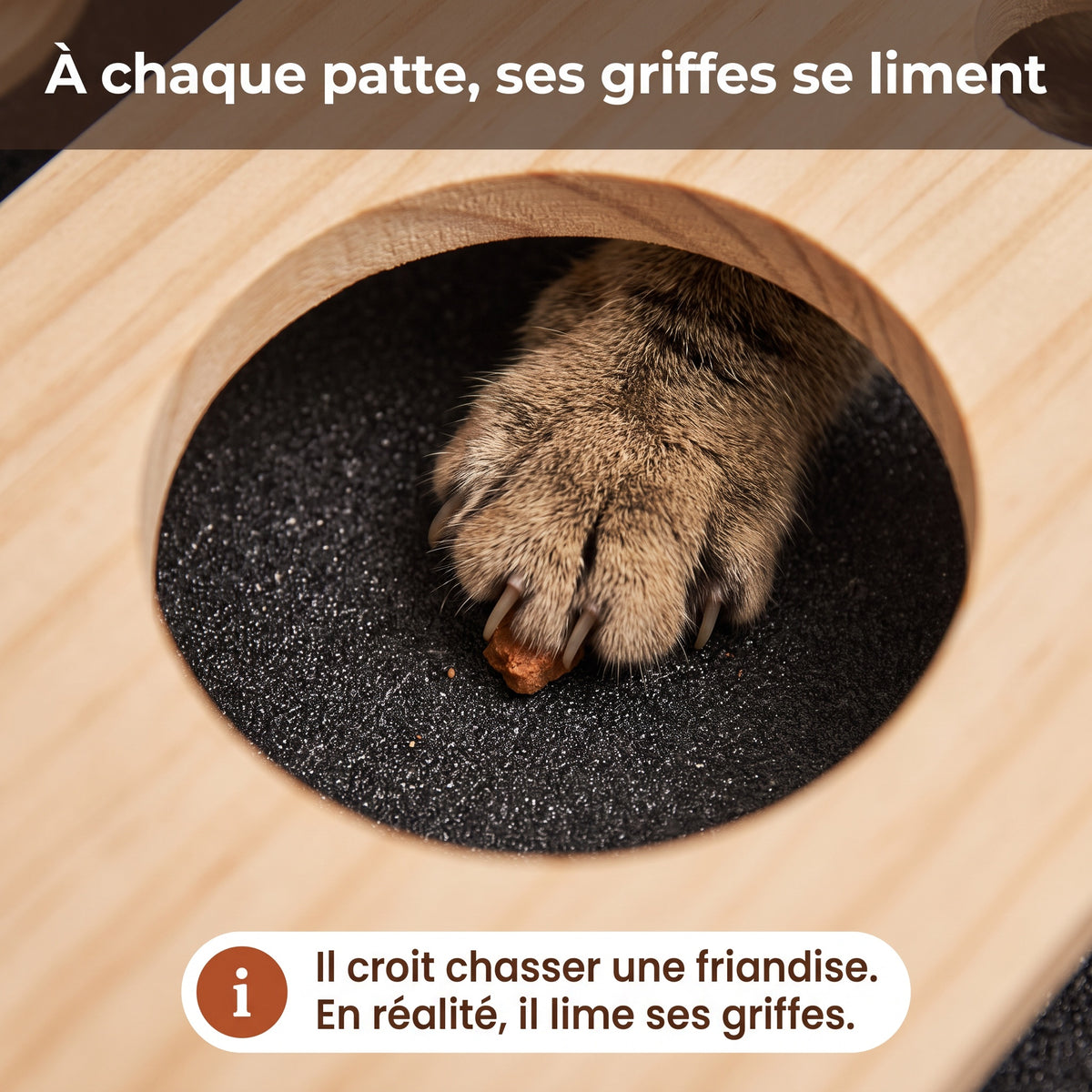Limatou – La boîte qui lime les griffes de votre chat