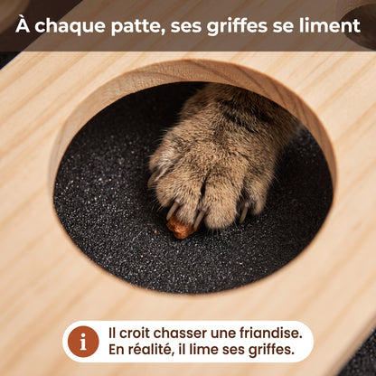 Limatou – La boîte qui lime les griffes de votre chat