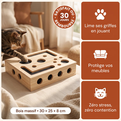 Limatou – La boîte qui lime les griffes de votre chat